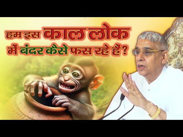 हम इस काल लोक में बंदर कैसे फस रहे हैं?kabir Parmeswar ji।।