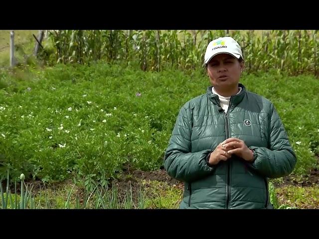 Modelo de huerta orgánica en pequeño espacio - La Finca de Hoy