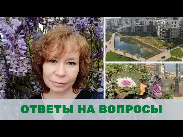 Лучшие деревья для озеленения городов, луга и газоны, лучшие растения для озеленения