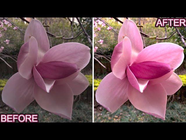 Edit Photos FAST! | Rawtherapee 5.8