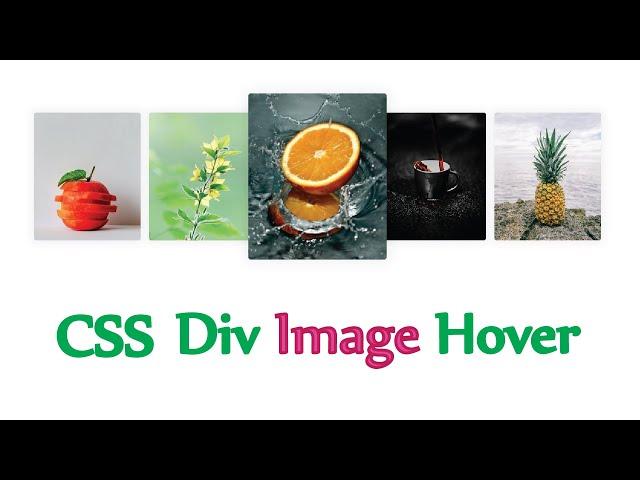 Div Box Image Hover | Html, Css image card hover effect