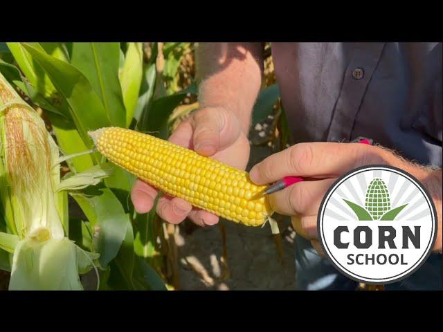 Corn School: SWAT Mapping with Paul Sullivan