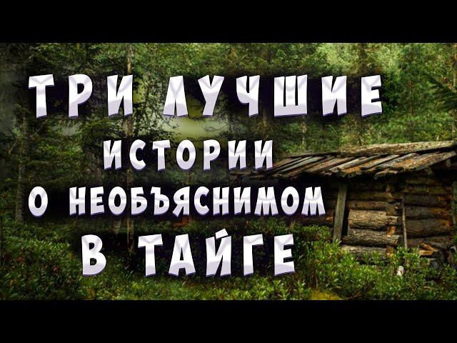 ТОП-3 Лучших историй про необъяснимые случаи в тайге.