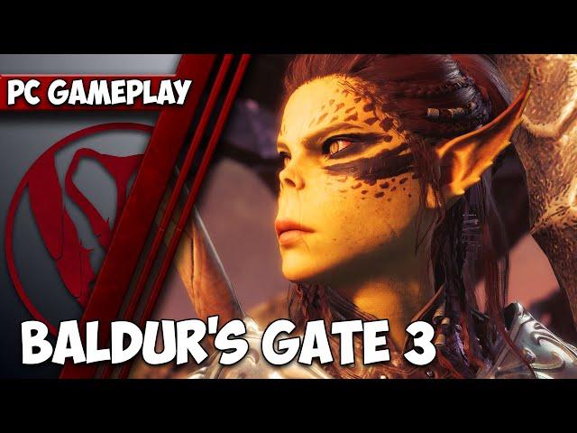 Baldur's Gate 3 Gameplay PC | 1440p HD | Max Settings