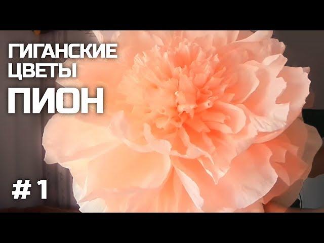 Giant paper flowers | Peony | Part 1