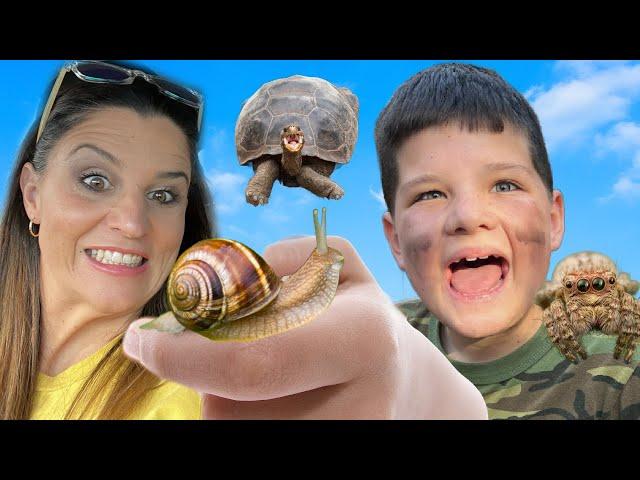 CALEB and MOMMY LOOK for Turtles and BUGS on our BACKYARD BUG HUNT!