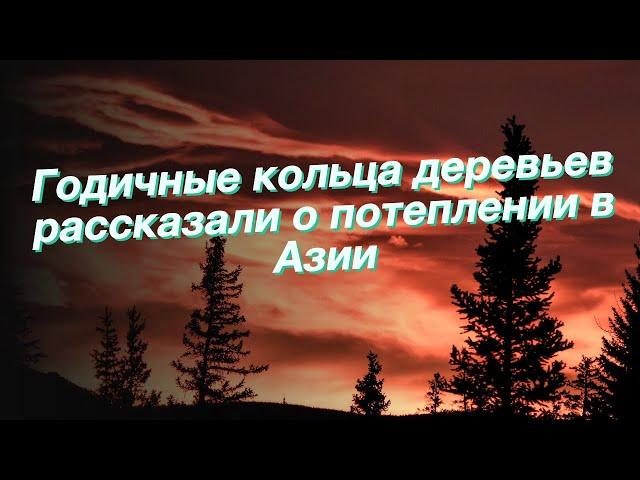 Годичные кольца деревьев рассказали о потеплении в Азии