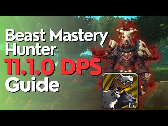 Beast Mastery Hunter TWW Season 2 Beginner Raid & M+ Guide