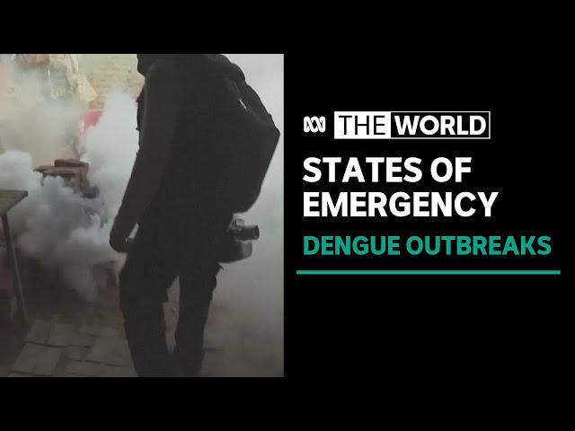 Puerto Rico becomes latest place to declare dengue emergency | The World