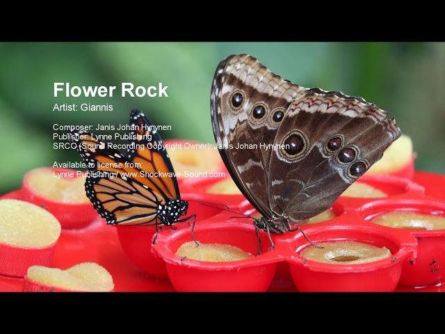 Flower Rock - Giannis (Lynne Publishing) | Royalty Free Music from Shockwave-Sound