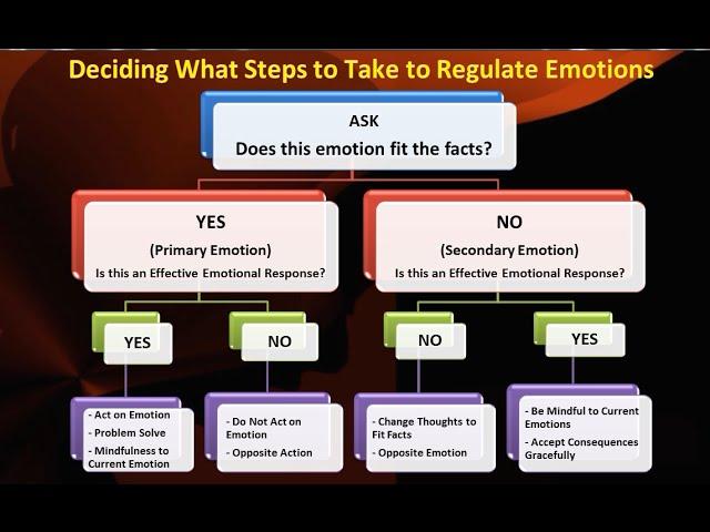 Problem Solving Emotion Regulation Skills - Ep. 4d - DBT Peer Connections