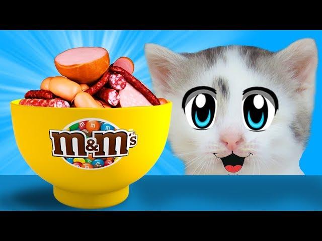 ПРИКОЛЫ С КОТАМИ! СМЕШНОЙ КОТ МАЛЫШ И КОШЕЧКА МУРКА едят КОЛБАСНЫЙ m&ms ! НОВЫЕ ПРАНКИ НАД КОТАМИ