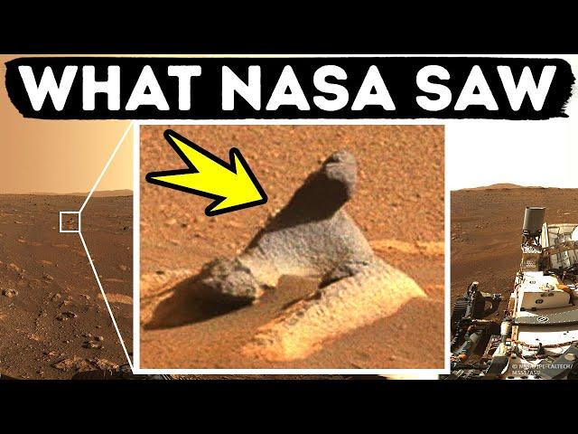 What We Found on Mars So Far