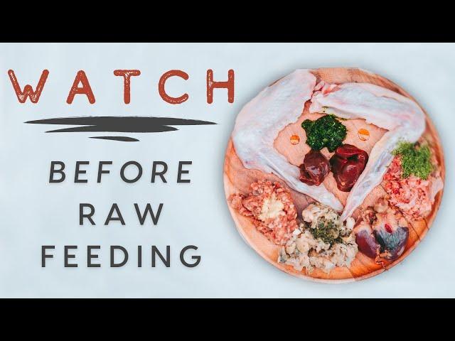 7 Things You Need To Know Before Raw Feeding Your Pet