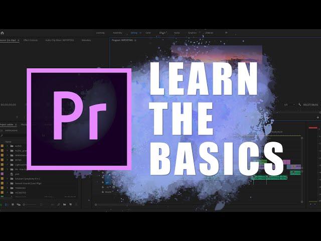 LEARN THE BASICS of ADOBE PREMIERE PRO 2020 (Tutorial For Beginners)