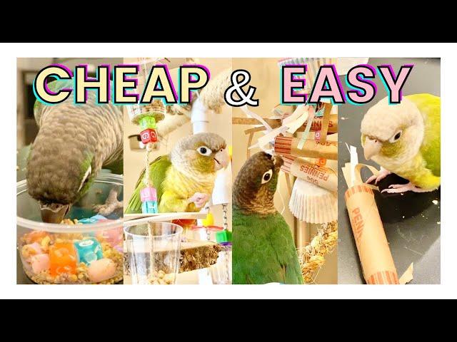 CHEAP DIY BIRD TOYS | DIY Dollar Store Bird Toys