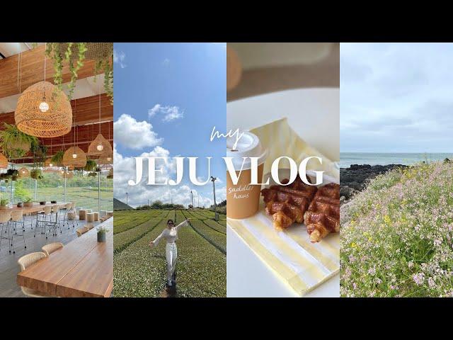 Jeju Island travel vlog Cafe hopping, Korean BBQ, Innisfree, luxury hotels, tourist attractions