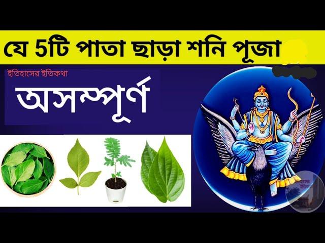 শনিবার শনিদেবের পূজা নিয়ম বিধি যে 5টি পাতা অর্পণে গ্রহরাজ খুশি হয় সাড়ে সাতি গ্রহদোষ | Shani Puja