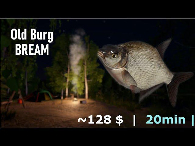 Bream Leszcz Russian Fishing 4 Old Burg | rf4 spot 339