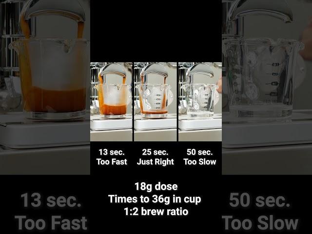 Dialing-In Espresso Grind Size for Beginners Part 6: Shot Timing