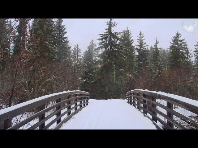   Мелодия зимы...  Андрей Обидин - Зимний саксофон.  Andrei Obidin - Winter saxophone