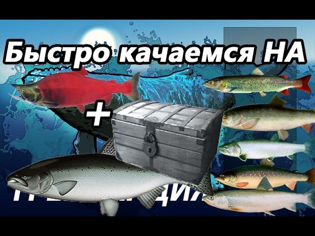 Быстро качаемся на ЧАВЫЧЕ + нерка + постоянно серебро  / Русская рыбалка 3