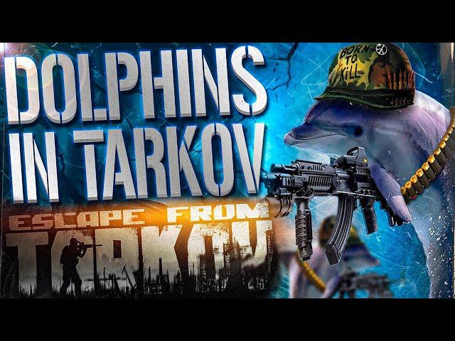 DOLPHINS IN TAKOV! - EFT WTF MOMENTS  #265 - Escape From Tarkov Highlights