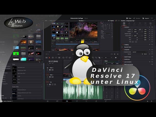 DaVinci Resolve 17 unter Linux Mint oder Ubuntu