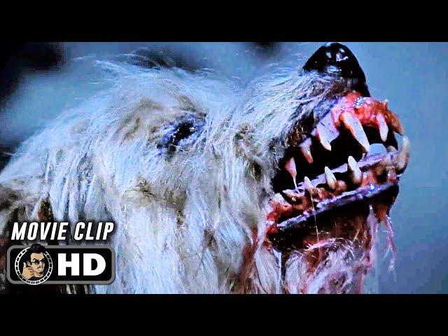 DEMONS 2 | Demon Dog Transformation (1986) Movie CLIP HD