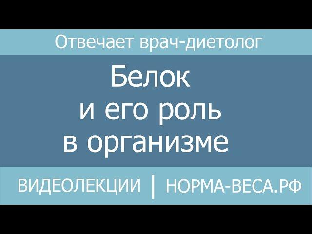 Белок и его роль в организме