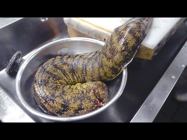 How to cook a giant live moray eel (the sea gang) ! Amazing Japanese style skill "Utsubo" cuisine!