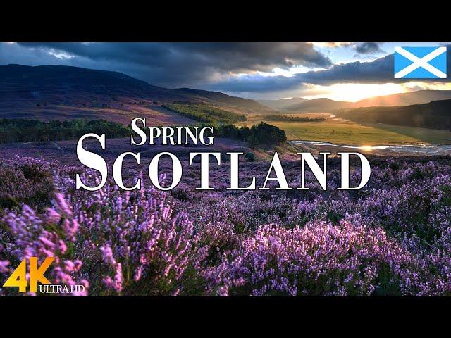 Spring Scotland 4K Ultra HD • Stunning Footage Scotland, Scenic Relaxation Film with Calming Music.