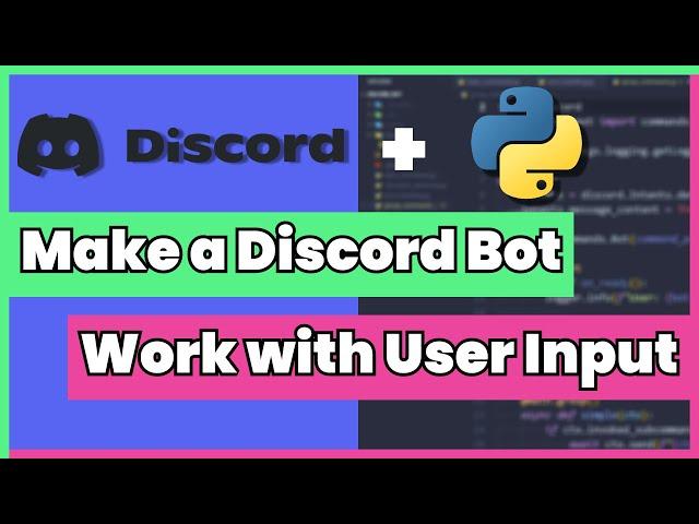 Working with user inputs from commands in discord.py 2