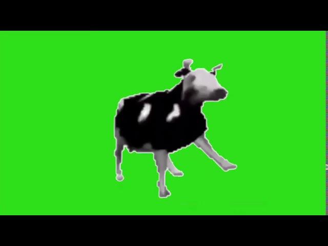 Dancing polish cow meme green screen