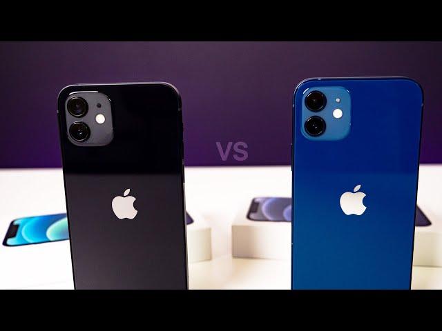 Blue & BLACK iPhone 12 Unboxing & Comparison!