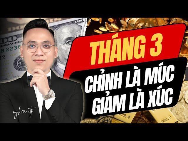 Xu hướng VNIndex 2025: Uptrend! Cơ hội lớn sẽ đến với tất cả nhà đầu tư chứng khoán!