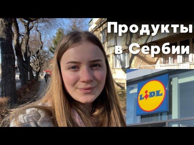 Цены в магазине Лидл в Сербии. Сколько стоят продукты в Сербии Lidl