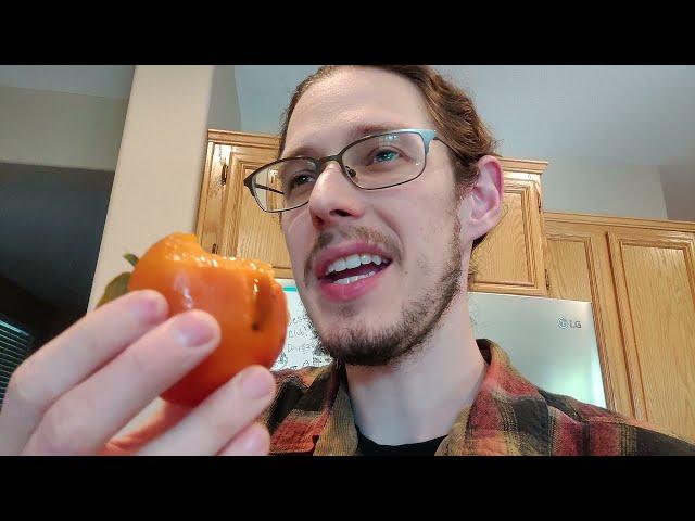 Fuyu Persimmon vs Hachiya Persimmon - Fruit Tasting