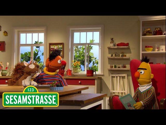 Ernie & Bert: Ernies neues Haustier | Sesamstraße | NDR