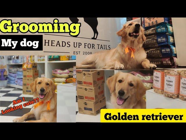 My dog Grooming || Pet lovers || Best spa for dogs & cat️ Golden retriever || Headsupfortails