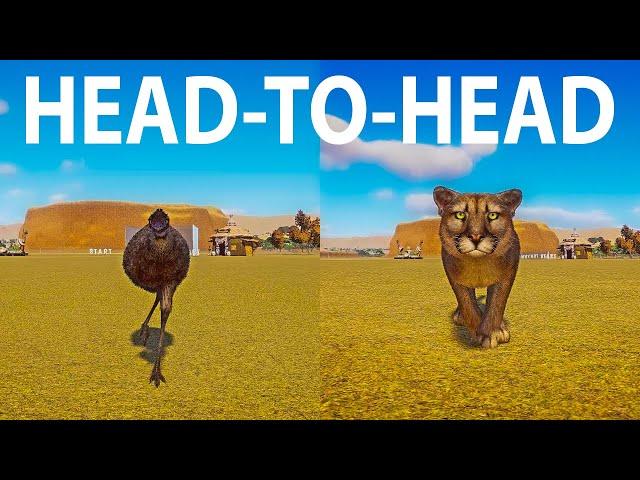 Cougar vs Emu A Head to Head Speed Race in Planet Zoo