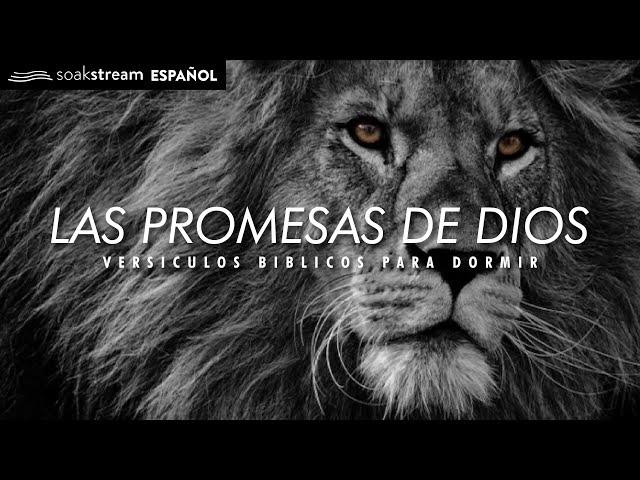 Las Promesas de Dios | Versiculos Biblicos Para Dormir