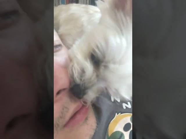 22 minutes of dog licking nose cause the dog loves my nose ASMR