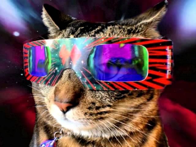 acidcat