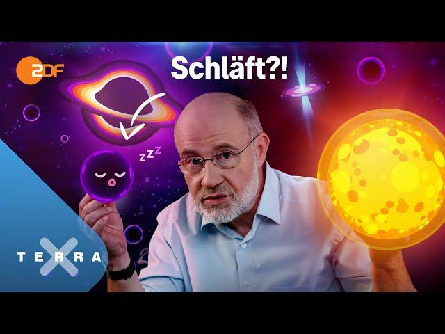 Wann wacht es auf?! | Harald Lesch | Terra X Lesch & Co