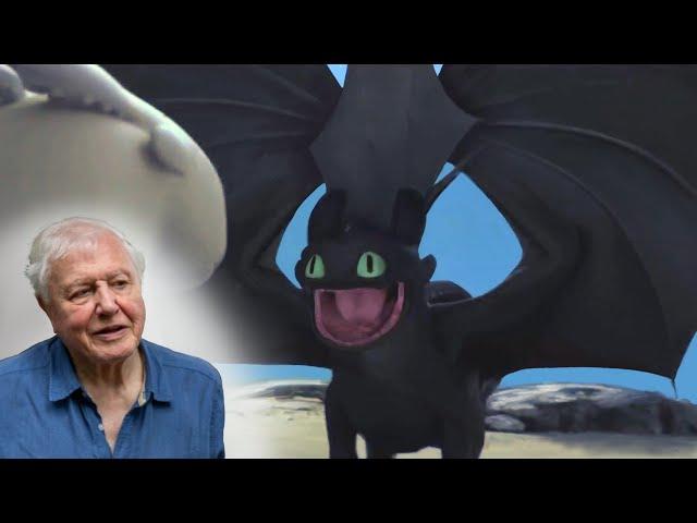 David Attenborough Narrates Toothless' Dance