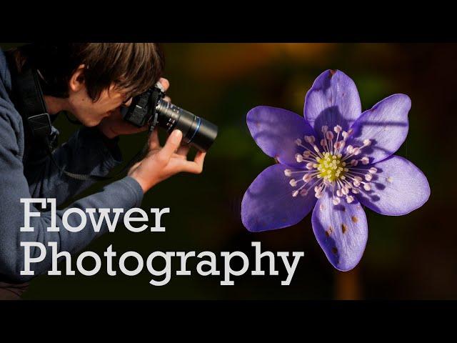 Photographing Spring Flowers - My Best Tips