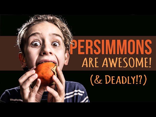 The Incredible (Inedibly Astringent) Persimmon: Know This First