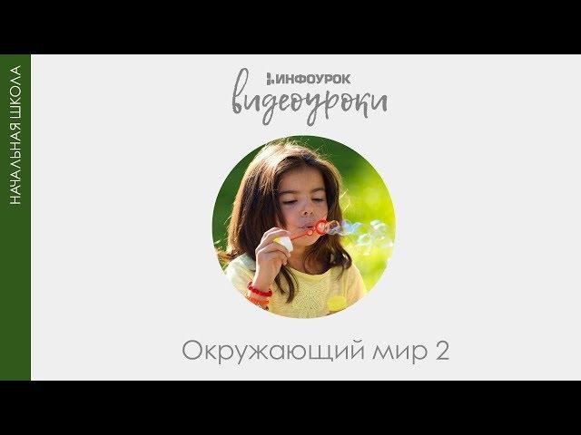 Россия – родина космонавтики | Окружающий мир 2 класс #4 | Инфоурок