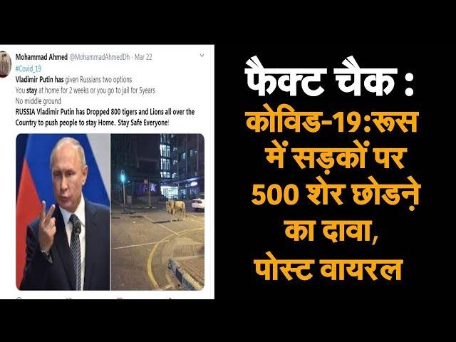 Fact Check : कोविड-19:रूस में सड़कों पर 500 शेर छोडऩे का दावा, पोस्ट वायरल